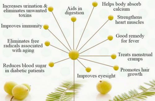 gooseberry benefits