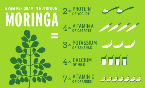 moringa nutrition