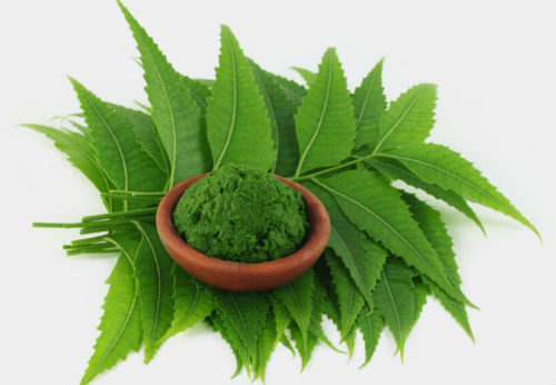 neem